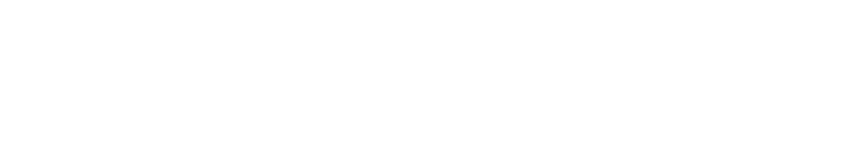 SEIM Interactive